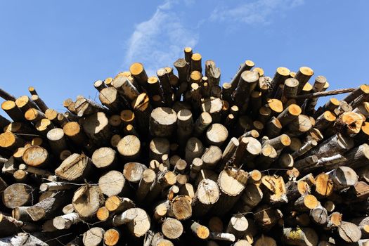 big woodpile and blue sky in spring