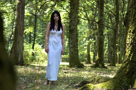 Beautiful woman in the woods posing
