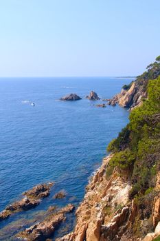 Spanish landscape with sea, rocks and pines at sunny day