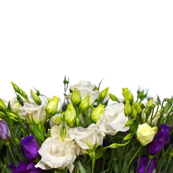 bouquet of white and violet lisianthus flowers on white 