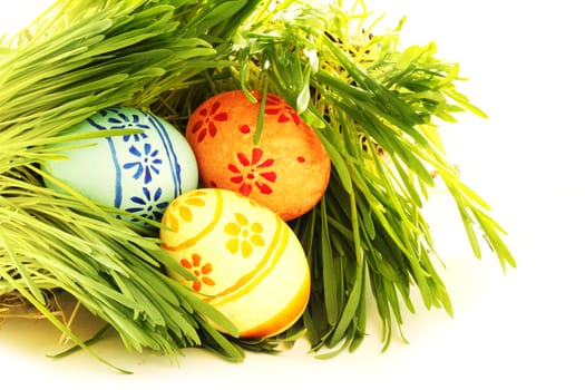 Easter eggs in green spring grass on white background