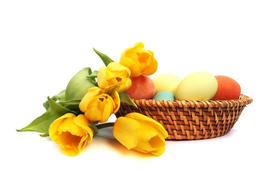 Colorful easter eggs in basket and tulips isolated on white