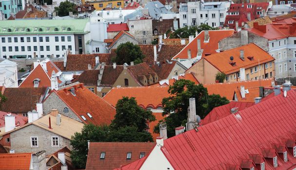 Panorama of old town roofs in Tallinn