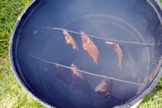 healthy ecological fish smoke in smokehouse made of old rusty barrel.