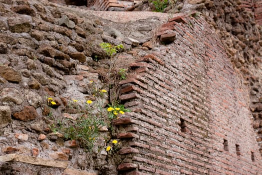 Old roman ruins in Roma
