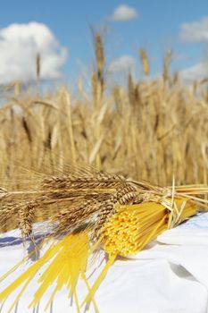 Spaghetti and wheat outdoors healthy eating concept
