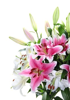 Pink and white lily bouquet closeup isolated on white