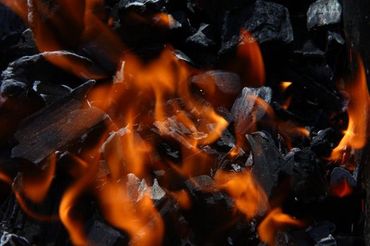 Beautiful fire on coal macro closeup