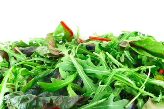 Rucola and Chard salad background with white copy space