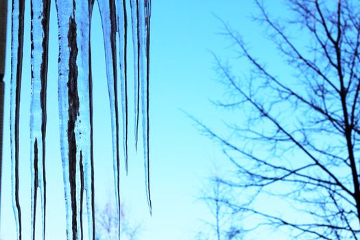 Huge sharp icicles on blue natural background