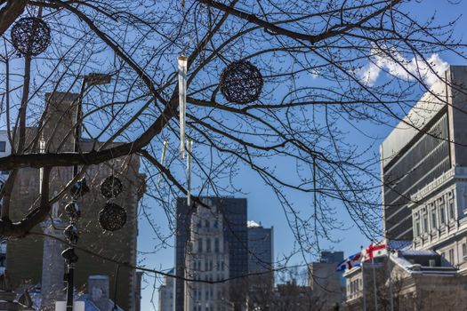 A beautiful tree without leaves in the cold winter in the Montreal City, Quebec, Canada