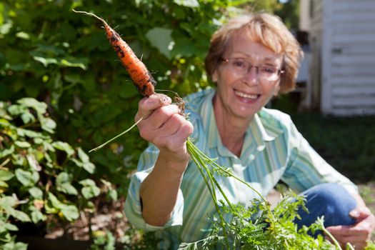 Portrait of smiling senior woman holding carrot