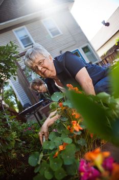 Portrait of lovely senior woman taking care of plants