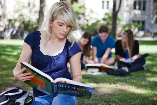 College students studying at campus lawn