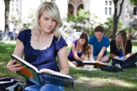 College students studying at campus lawn