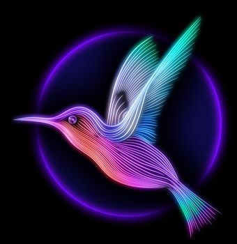 3d render of colibri bird - hummingbird striped silhouette