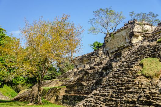 Ruined temple in the ancient Mayan city of Palenque in Mexico