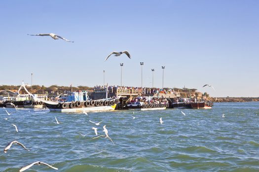 Dwarka Roadtrip. Landscape of Bet Dwarka quayside and ferry port crowded with seagulls looking for food and general public waiting to catch a ferry to the mainland, location Bet Dwarka, Gujarat, India