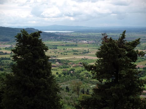 View of the olive groves and plains around Cortona. Umbria
