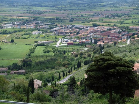 View of the olive groves and plains around Cortona. Tuscany, 