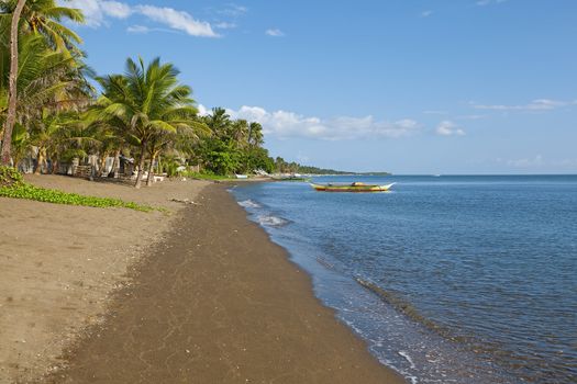 Nature in Donsol, The Whale Shark Capital