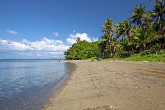 Nature in Donsol, The Whale Shark Capital