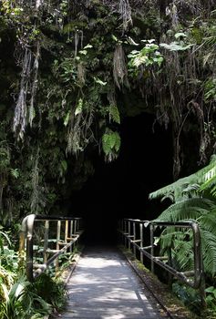 Pathway to the big island lava tube