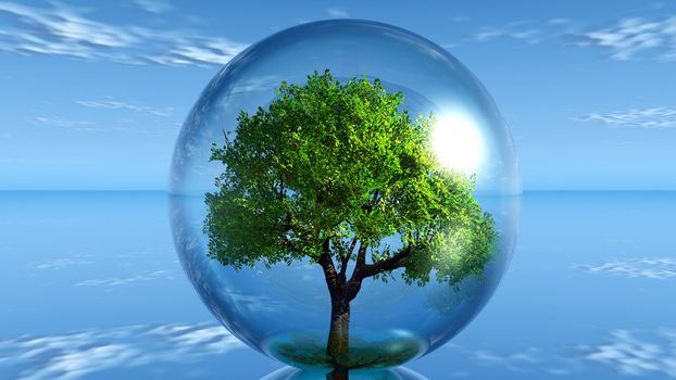 green tree in a transparent bubble