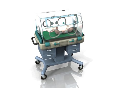 the baby incubator
