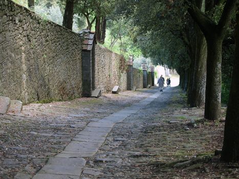 steep stone avenue to the shrine of St. Margaret of Cortona
