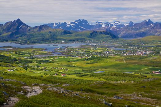 Scenic panorama of green Lofoten islands in Norway during summer