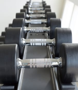 dumbbells for fitness to stand