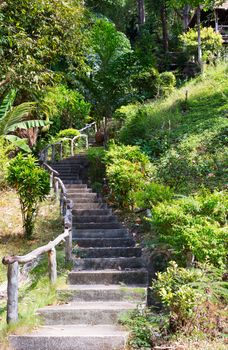 stone staircase with wooden hand rail in the jungles of Thailand