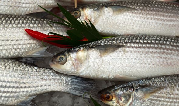 fresh fish on ice with chili pappers