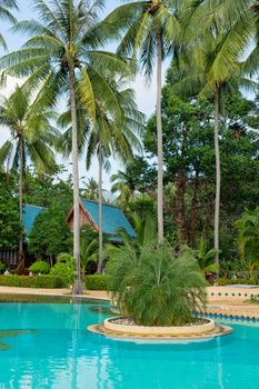 tropical swimming pool and palm tree