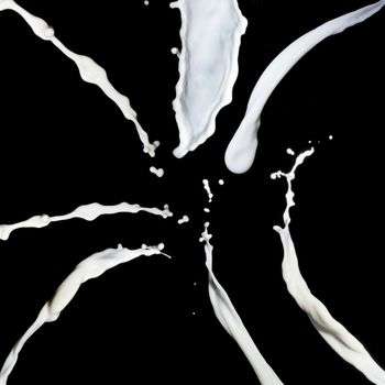 Milk splash, isolated on black background