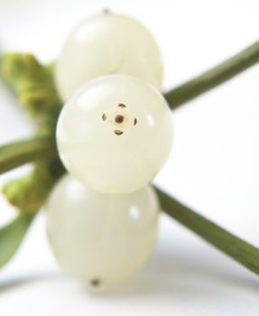 Close up (macro) of mistletoe berries in portrait (vertical) orientation. Differential focus.