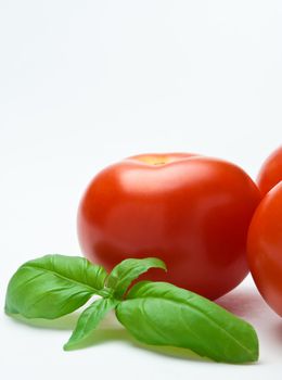 Close up of a sprig of basil nestled against a group of red tomatoes.  Only one tomato is entirely in frame.