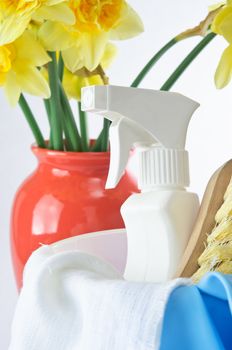 Vertical shot with cleaning products in the foreground and a vase of daffodils in the background to indicate Spring.