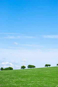 A grassy, gently sloping hill against a blue sky, with trees along the horizon.  