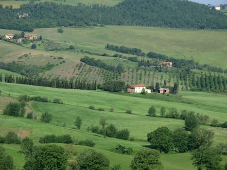 The beautiful landscape of Tuscany. View of the hills between Montepulciano and Pienza