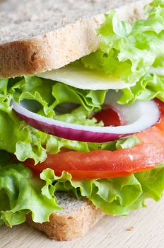 Close up (macro) of a highly stacked cheese salad sandwich made with wholemeal (wholewheat) bread. 