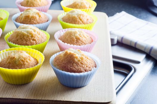 Kitchen scene with rows of freshly baked cupcakes in colourful baking cases  on wooden board resting on cooker hob.  A checked teatowel and worktop are in the background.