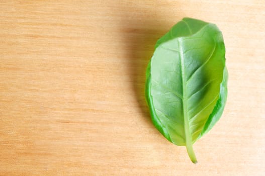 Overhead shot of a solitary basil leaf, inner side facing uppermost on a light wood surface, with copy space to the left.