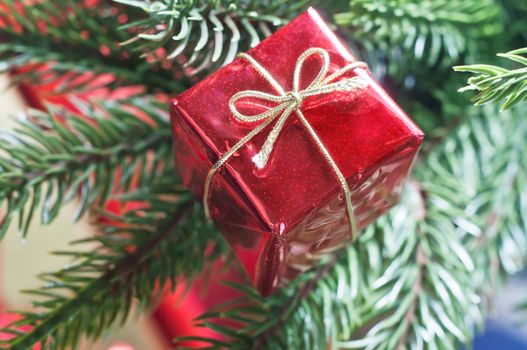 Close up of a shiny red gift box, tied with a gold bow on Christmas tree branches.