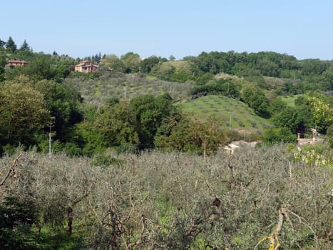 The beautiful landscape of Tuscany. View of the hills between Montepulciano and Pienza