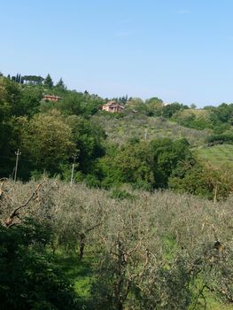 The beautiful landscape of Tuscany. View of the hills between Montepulciano and Pienza
