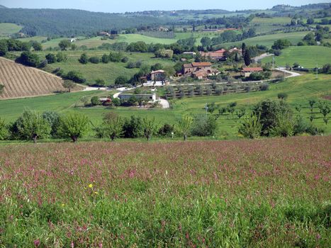 The beautiful landscape of Tuscany. View of the hills between Montepulciano and Pienza