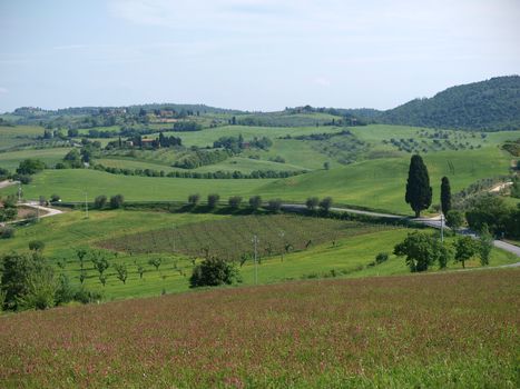The beautiful landscape of Tuscany. View of the hills between Montepulciano and Pienza