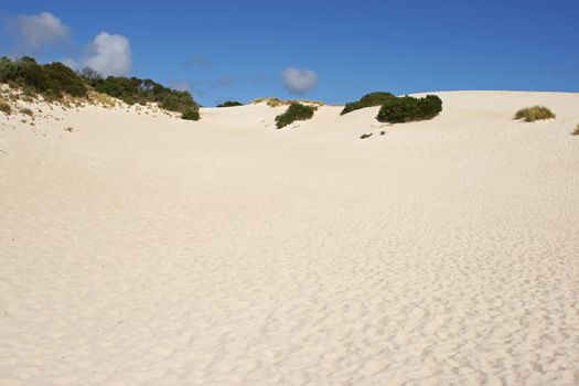 Dunes of Little Sahara, Kangaroo Island, South Australia